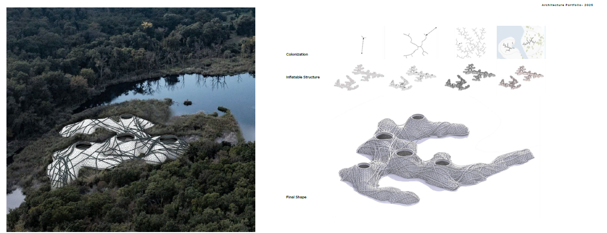 Project 2 Image 1